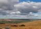 Untitled_Panorama1