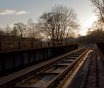 IMG_1520