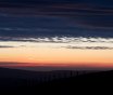 IMG_1433