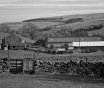 IMG_0848
