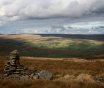Snowdrop Moor