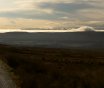 Teesdale