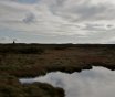 Snowdrop Moor