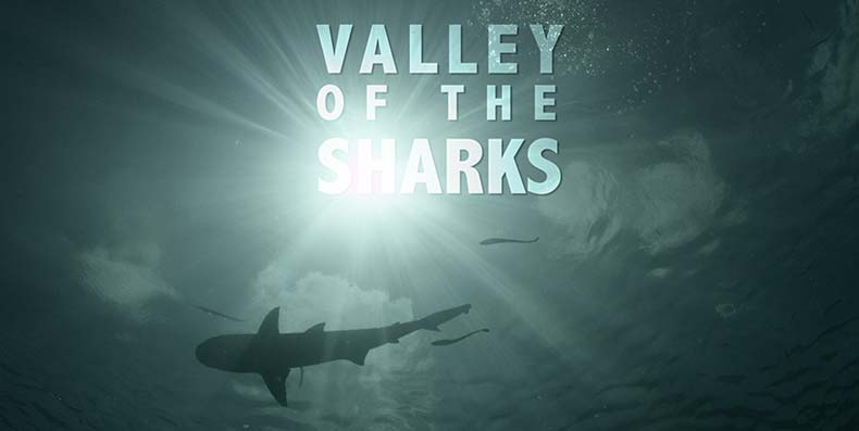 Valley of the Sharks